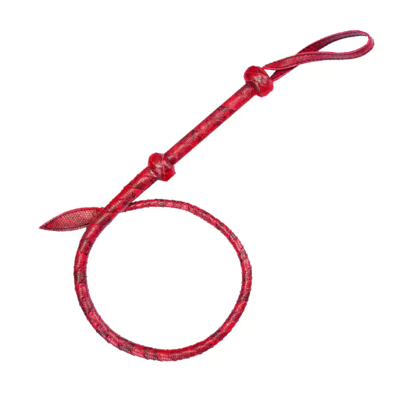 Red willow-leaf BDSM whip clean background display