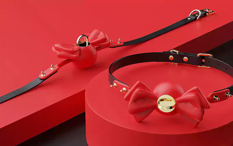 BDSM Ball Gags vs Other Gags