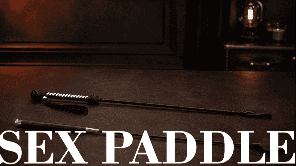 beginner and advanced riding crops arranged in a warm moody studio setting