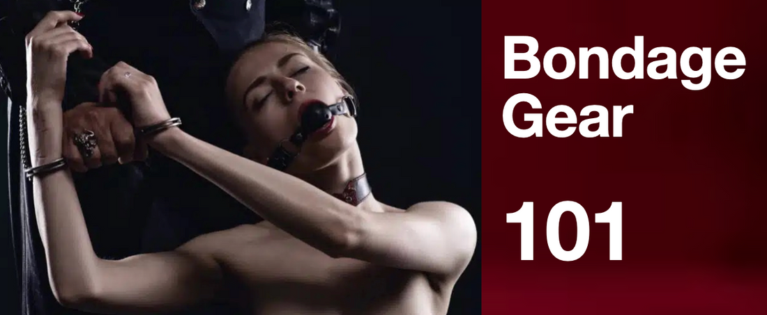 all gag, bondage collar, and feather tickler laid flat on dark background – bondage gear guide