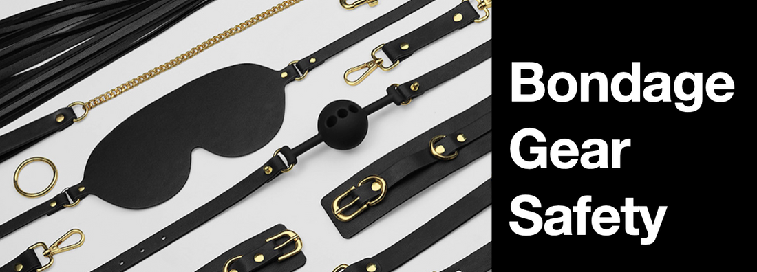 The Complete Beginner's Handbook for Collars  Ball Gag and Feather Ticklers