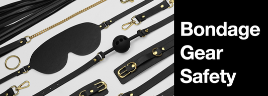 The Complete Beginner's Handbook for Collars  Ball Gag and Feather Ticklers