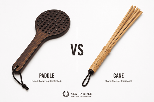 Paddle vs Cane: Which Impact Toy Should You Choose
