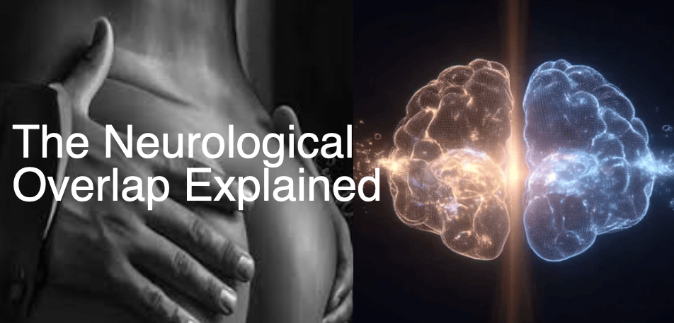 Pain and pleasure neurological overlap — how the brain processes sensation in BDSM