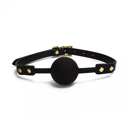 Accent Modern BDSM Ball Gags