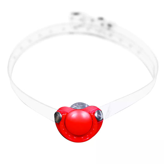 Silicone Pacifier Ball Gag