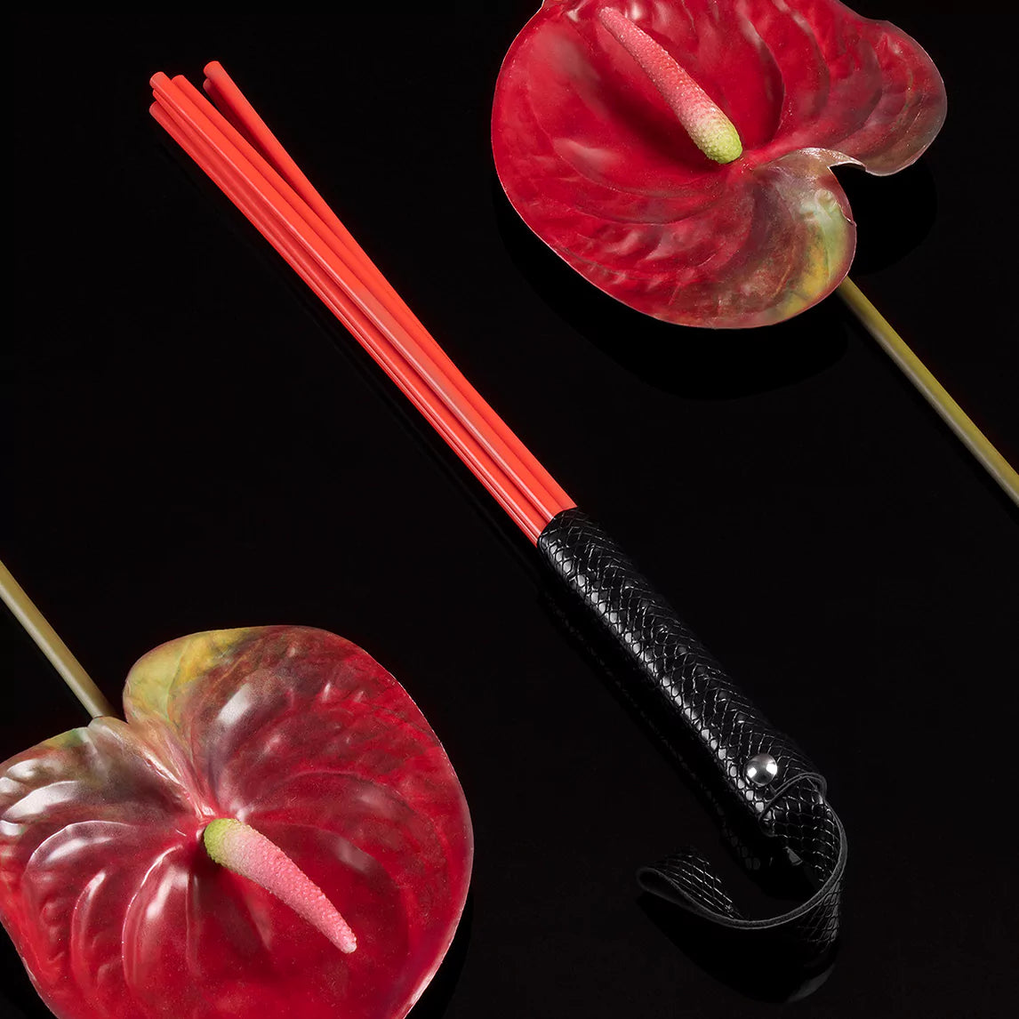 Acrylic Discipline Cane with Faux Leather Handle