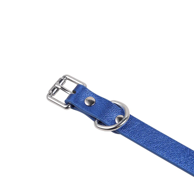 Close-up of adjustable metal hardware on blue leather collar