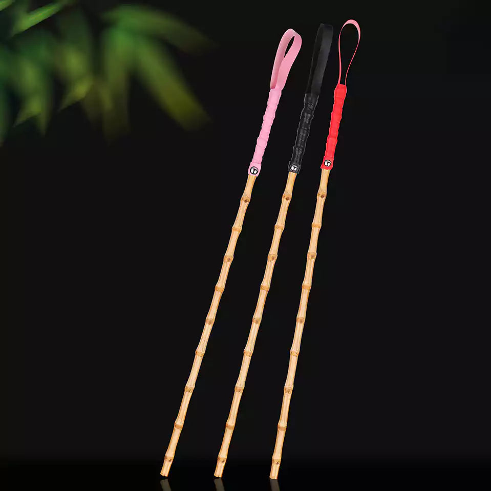 Bamboo segment discipline cane atmospheric lifestyle scene image