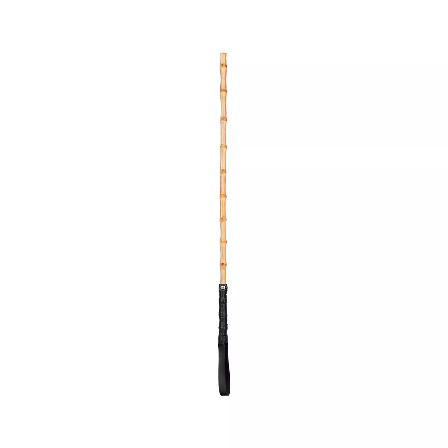 Front view of bamboo segment discipline cane with black handle