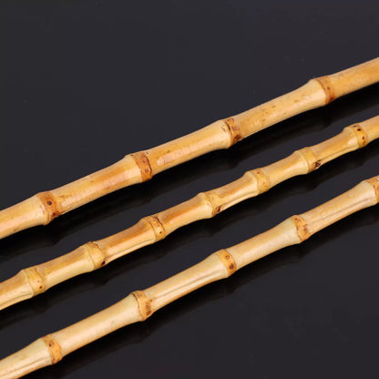 Close-up of natural bamboo node segments on discipline cane shaft