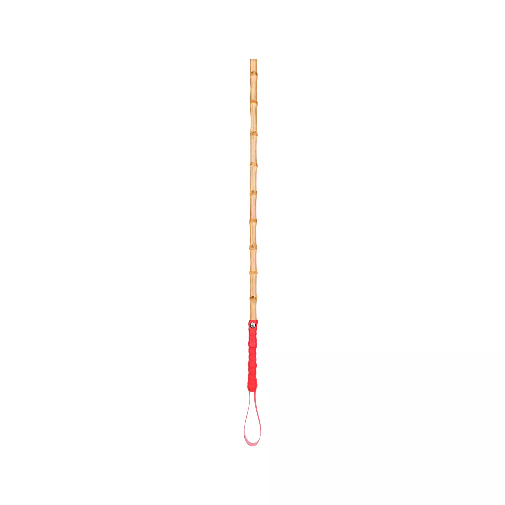 Front view of bamboo segment discipline cane with red leather handle