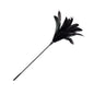 Feather & Tassel Long Wand Collection