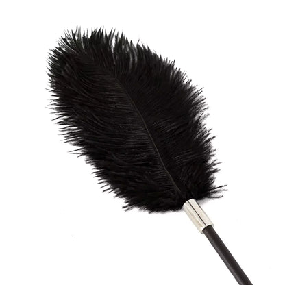 Close-up of ostrich-style feather tip on black lace feather tickler crop
