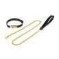 Black genuine leather collar with gold buckle and matching tether full view