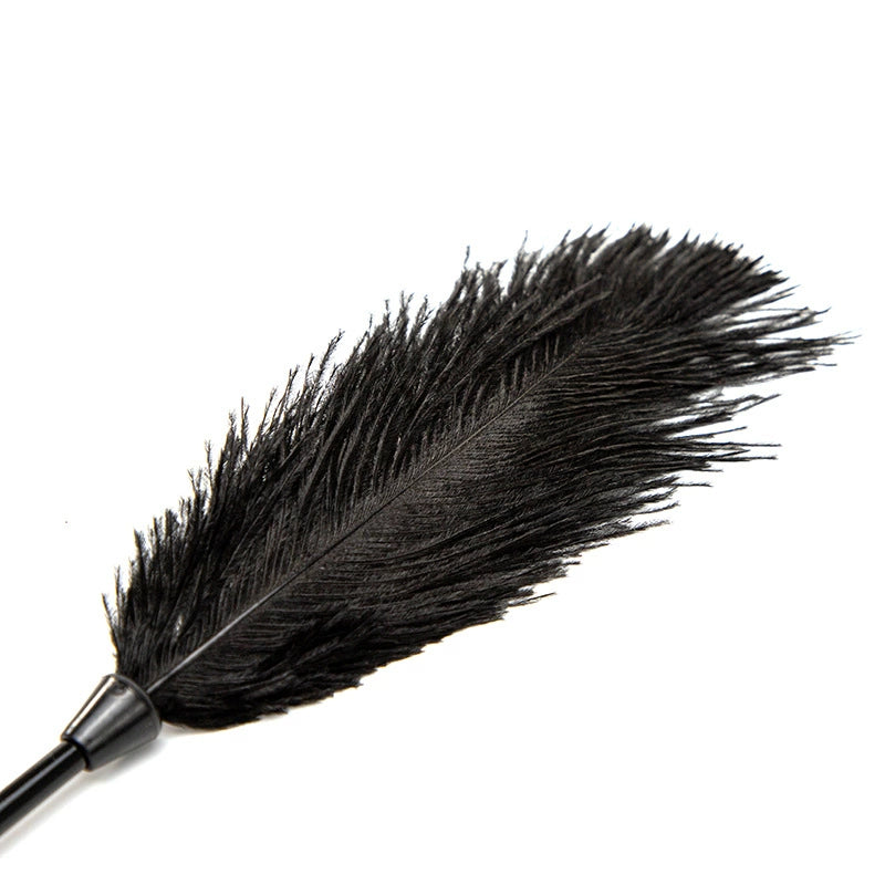 Black Ostrich Feather Tickler