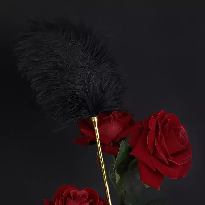 Black Ostrich Feather Tickler with Metal Handle