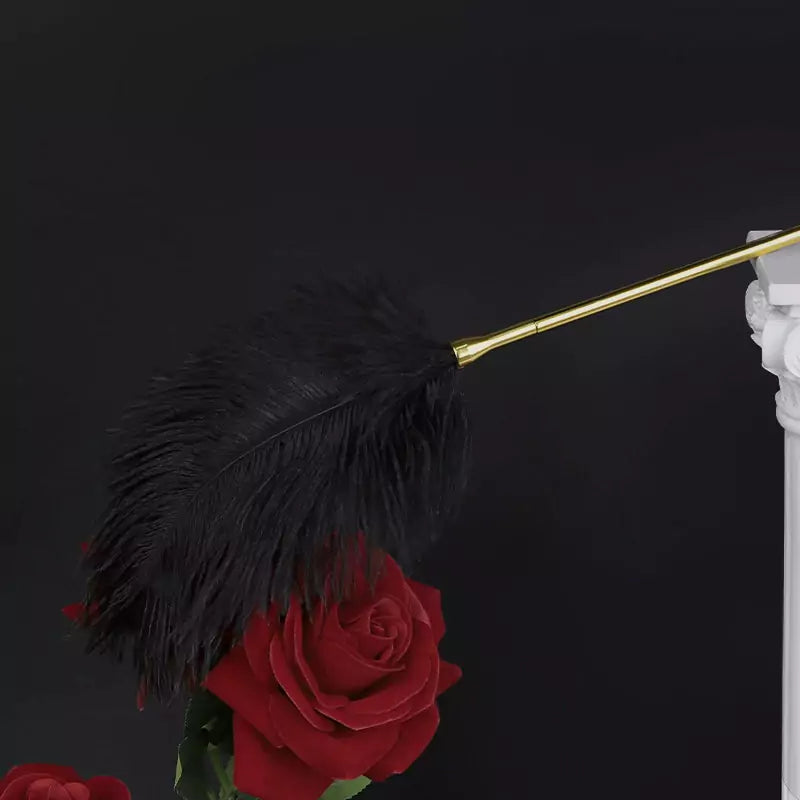 Black Ostrich Feather Tickler with Metal Handle