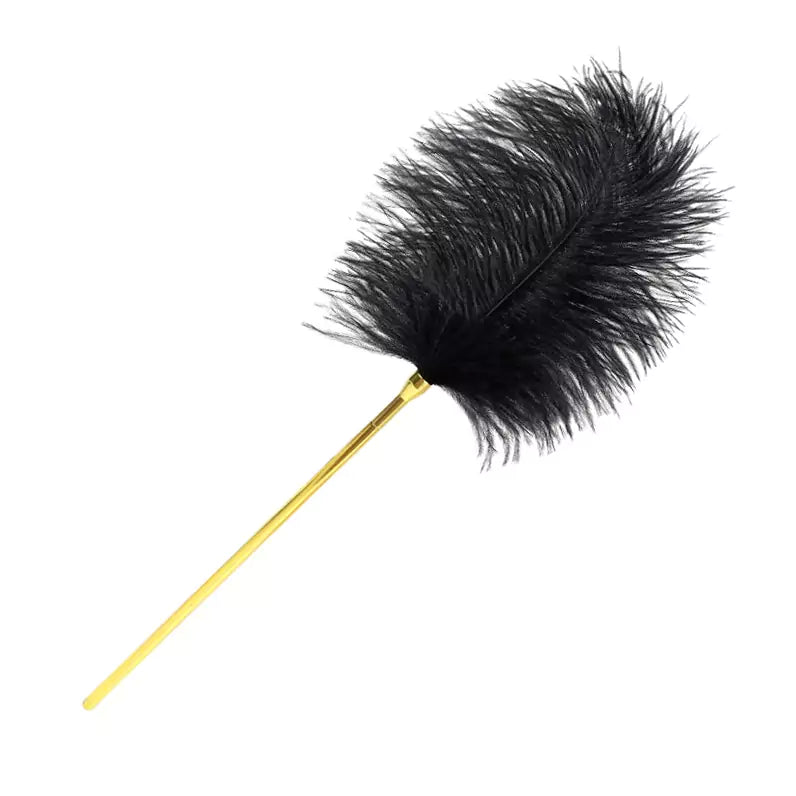 Black Ostrich Feather Tickler with Metal Handle