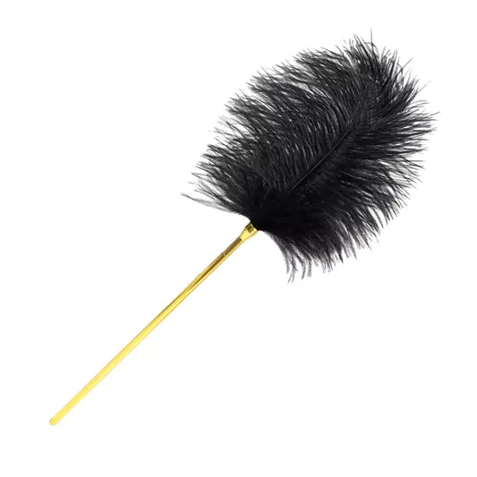 Black Ostrich Feather Tickler with Metal Handle