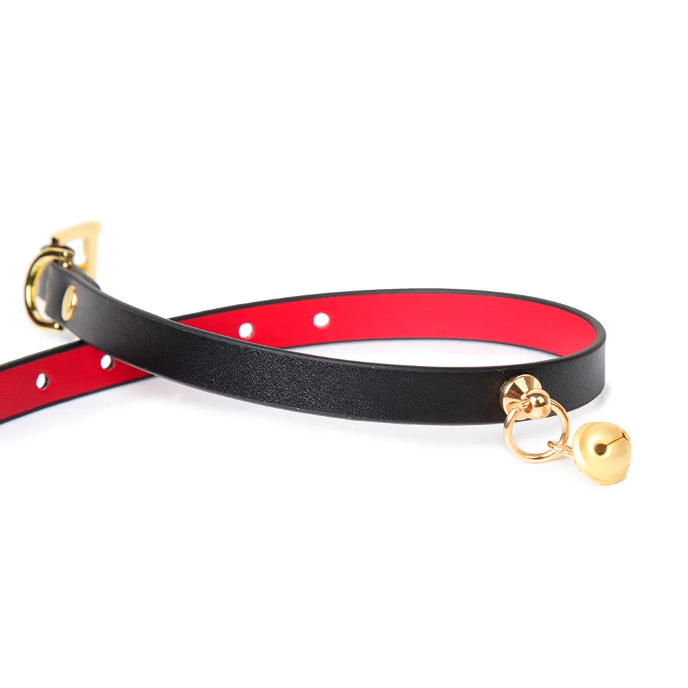angled view of black and red dual-tone bell collar