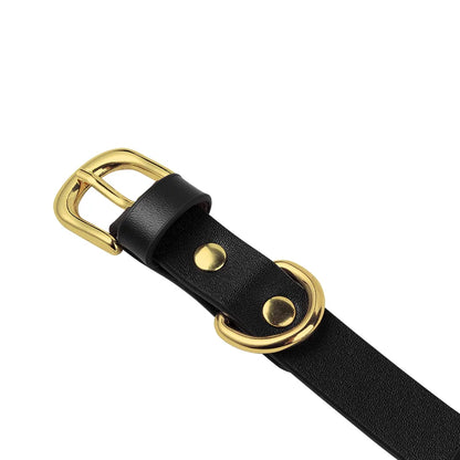 Faux leather strap and buckle detail on studded collar