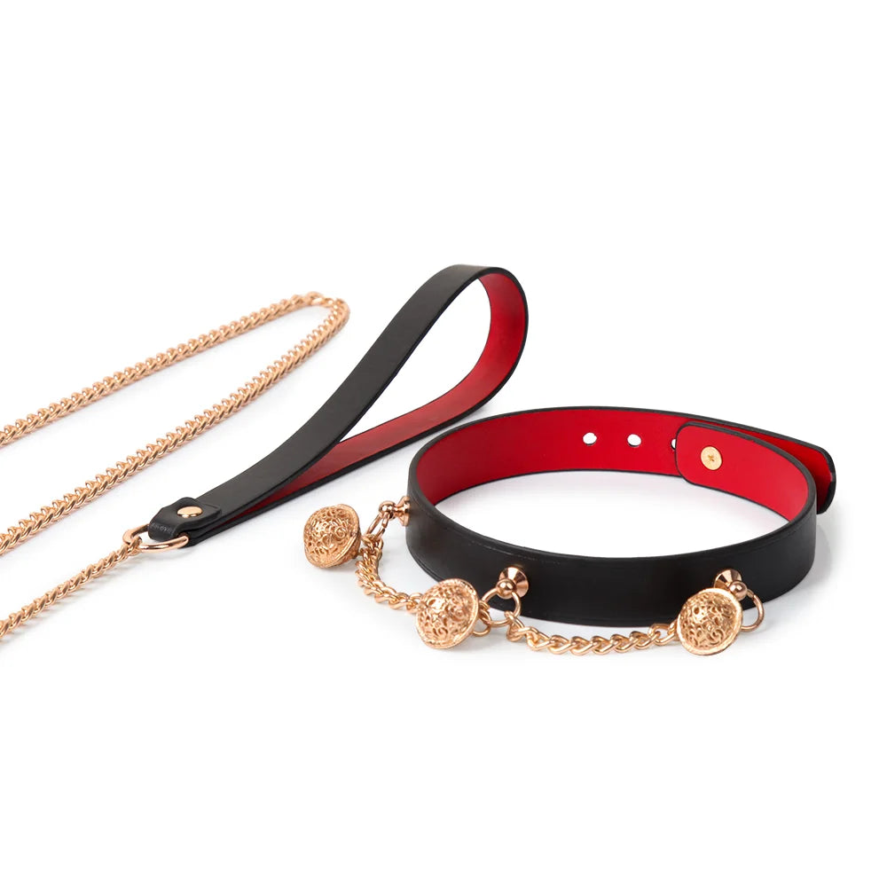 Leather collar with chain and bell attached to leash