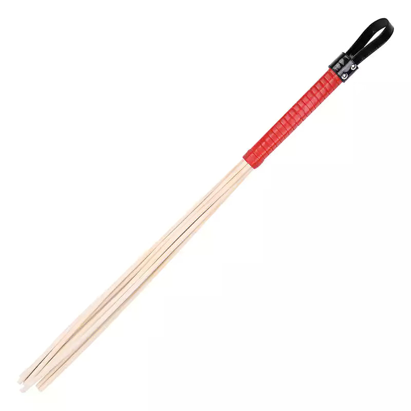 Eight-rod rattan discipline cane with red handle full view