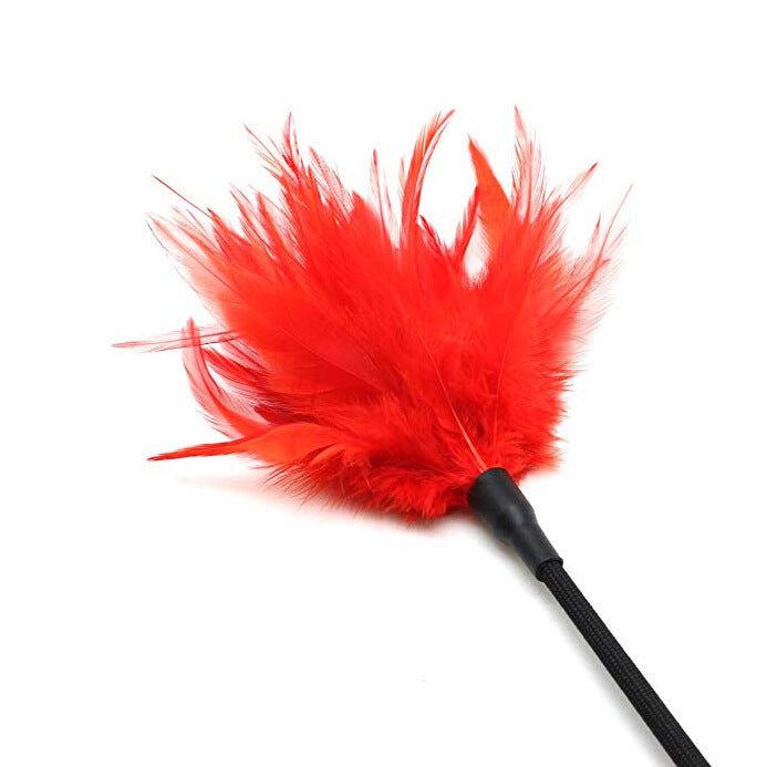Close-up of feather tip on feather leather BDSM riding crop