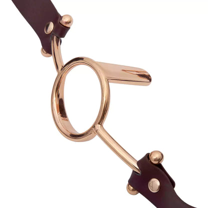 Close-up detail of the gold tongue depressor ball gag