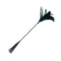 Feather & Tassel Long Wand Collection