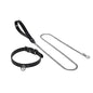 Iridescent snakeskin leather collar with gunmetal chain leash full view