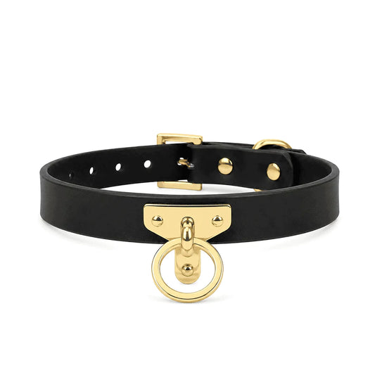 Matte Black Leather BDSM Collar with Leash — Gold Hardware Link Ring Collar