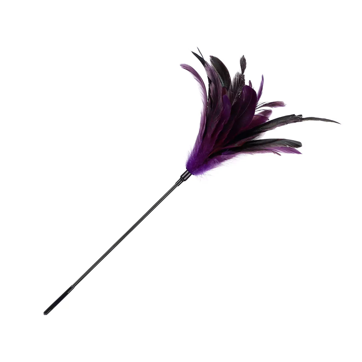 Feather & Tassel Long Wand Collection
