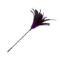 Feather & Tassel Long Wand Collection