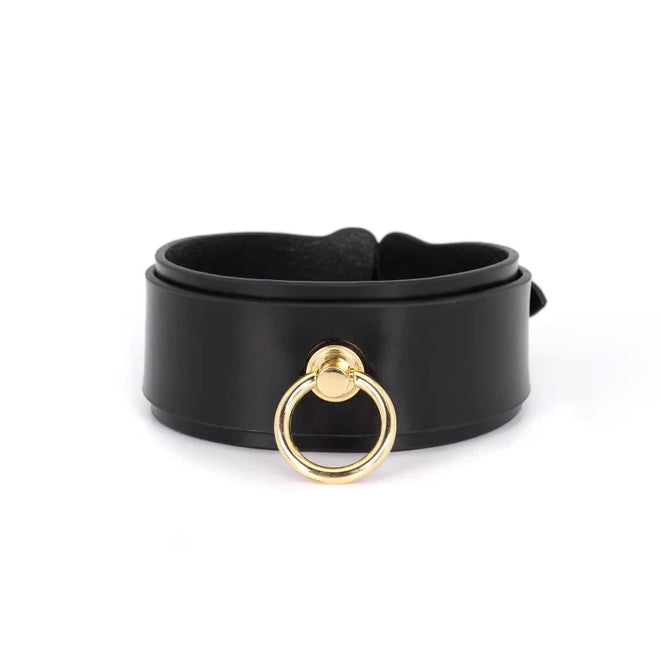 Breites Leder BDSM Halsband mit Leine — Hohes Vollnarbenleder Dominantes Halsband