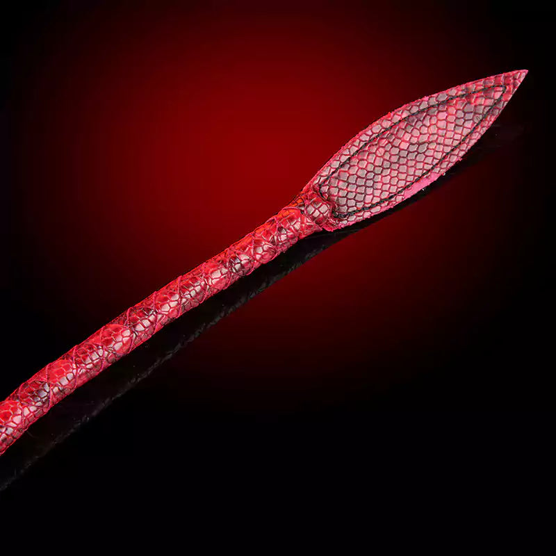 Close-up of tapered willow-leaf tip in red scene