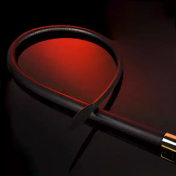 atmospheric presentation of artisan leather whip emphasizing ritual presence